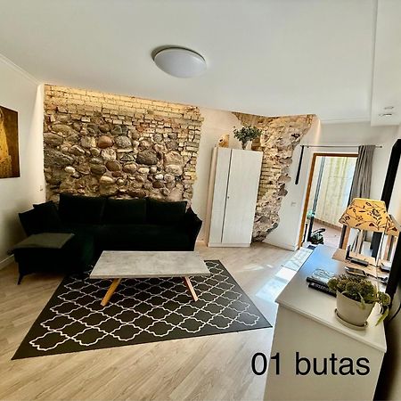 וילנה Six Apartment Simona מראה חיצוני תמונה